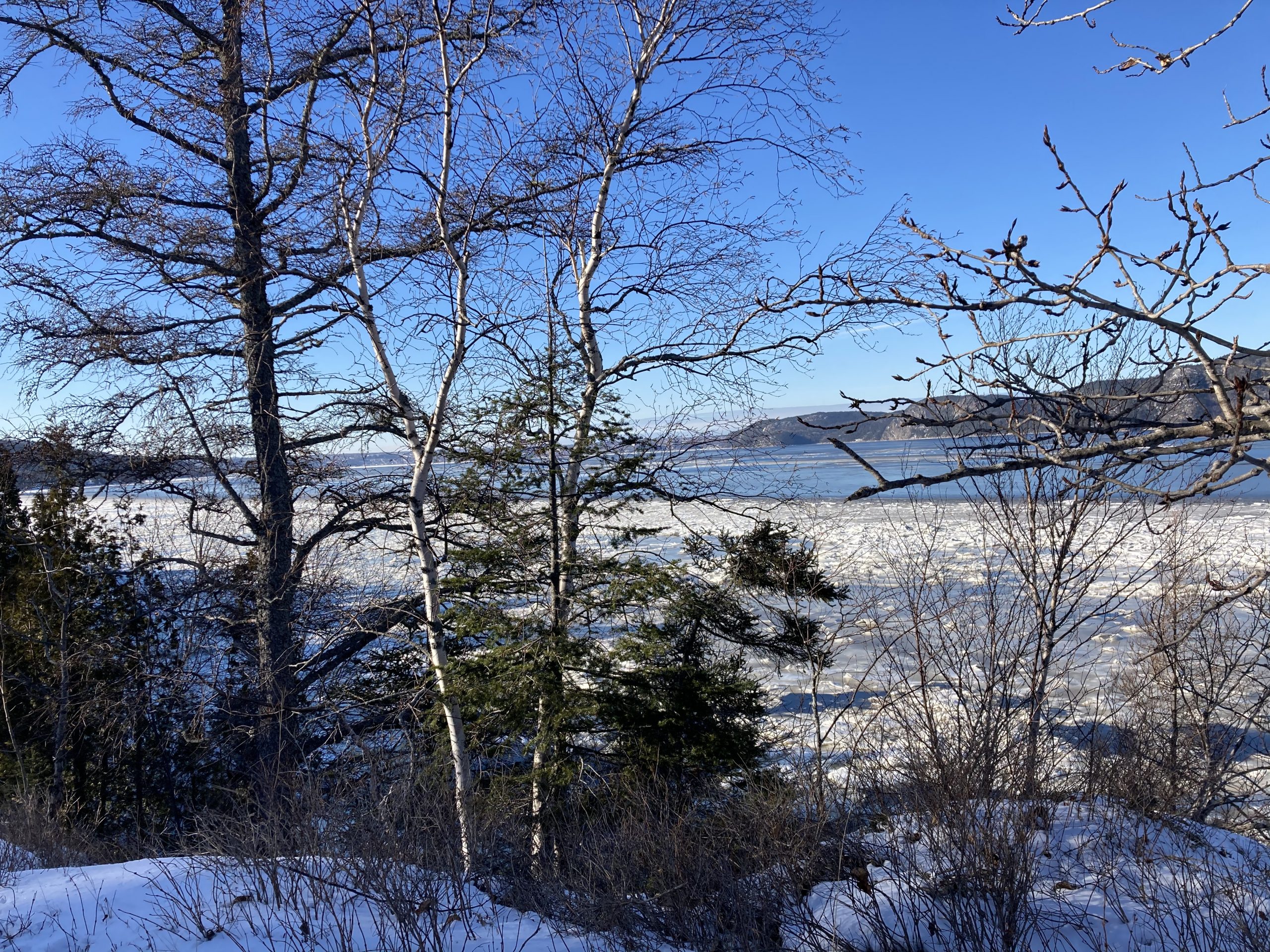 La Baie hiver la Batture